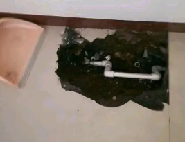 濠江卫生间测漏水多少钱