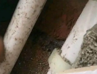 濠江卫生间测漏水哪家好